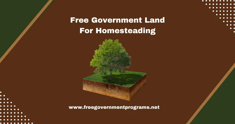 free government land for homesteading