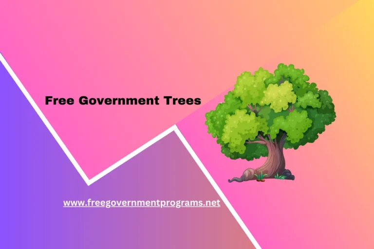 Free Government Trees (Help the Environment Today)