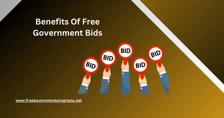 benefits of free government bids